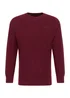 Lee Reglan Crew Knit Port