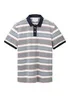 Tom Tailor Striped Polo Shirt Navy Red Stripe