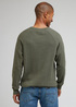 Lee Reglan Knit Olive Grove - L83PKHA61