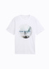 Tom Tailor T Shirt With Photo Print White - 112363642