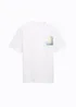 Tom Tailor T Shirt White