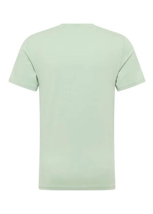 Mustang Austin Frosty Green