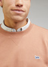 Lee Plain Crew Sweatshirt Cider - L81IFWA08