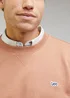 Lee Plain Crew Sweatshirt Cider