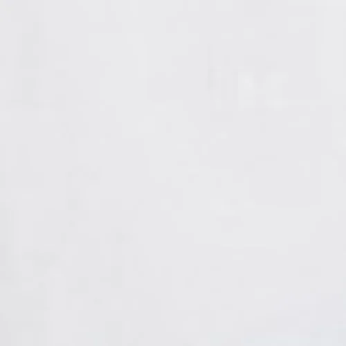 Lee Patch Shirt Bright White